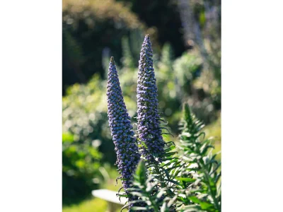 Holiday apartment Le rêve d'Adèle - Outdoor photo 7