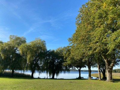 Holiday house No title - Environment photo 20