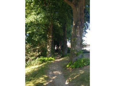 Holiday house No title - Environment photo 25