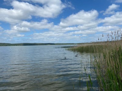 Holiday house No title - Environment photo 27