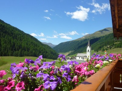 Holiday apartment Residence-Ferienheim Folie - Outdoor photo 2