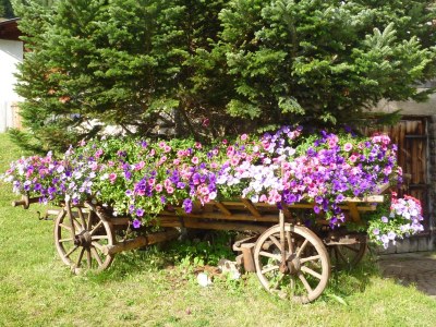 Holiday apartment Residence-Ferienheim Folie - Outdoor photo 3