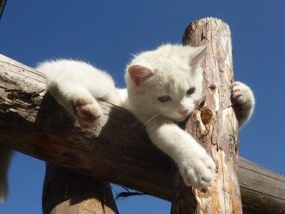 Holiday apartment Residence-Ferienheim Folie - Environment photo 14