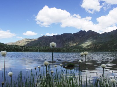 Holiday apartment Residence-Ferienheim Folie - Environment photo 15