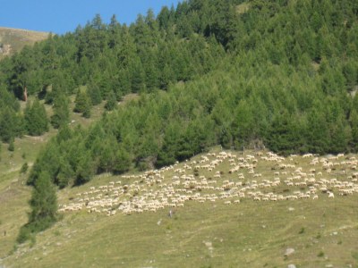 Holiday apartment Residence-Ferienheim Folie - Environment photo 17