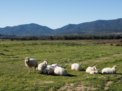Holiday house Bellavista House 1 - Environment photo 26