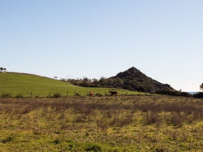 Holiday house Bellavista House 1 - Environment photo 27