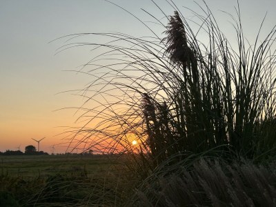 Holiday apartment No title - Environment photo 35