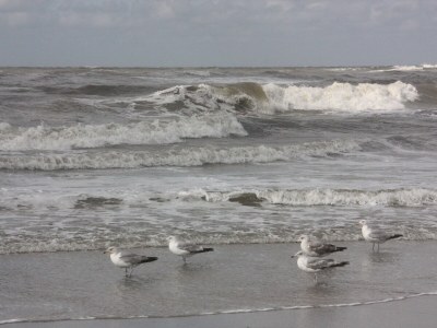 Holiday apartment No title - Environment photo 36