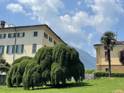 Holiday apartment Villa Camozzi Apartment - Outdoor photo 2