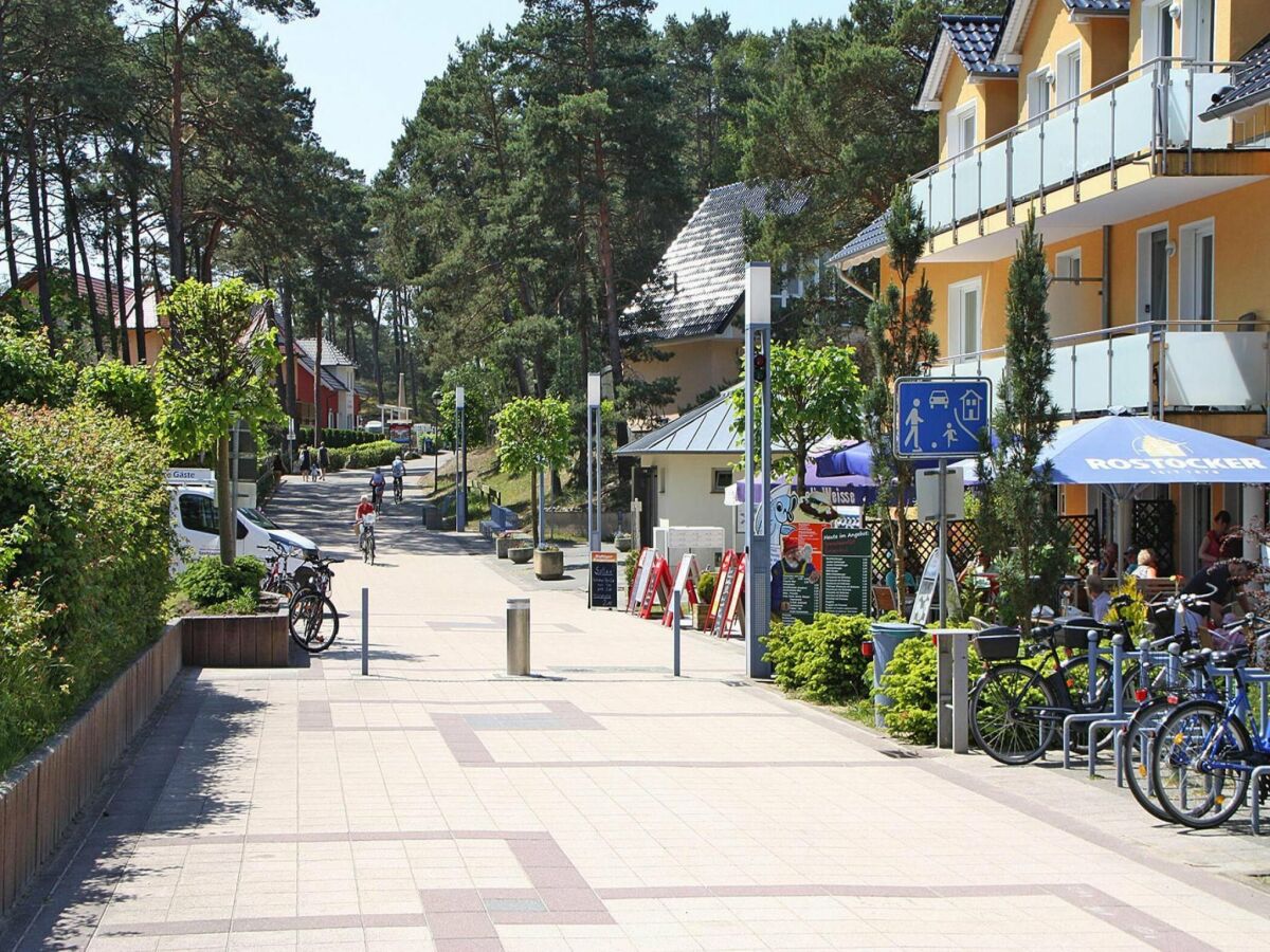 Holiday house Blockhaus in Trassenheide - Outdoor photo 4