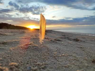 Holiday house Blockhaus in Trassenheide - Environment photo 16