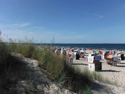 Holiday house Blockhaus in Trassenheide - Environment photo 21