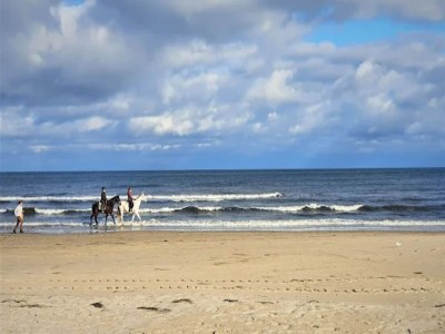 Holiday house Blockhaus in Trassenheide - Environment photo 22