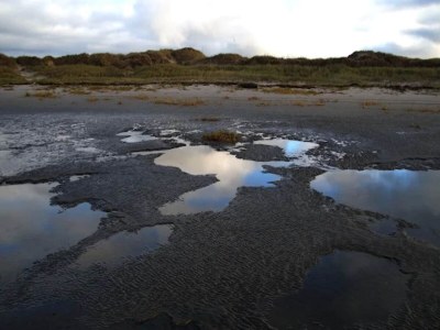 Holiday house Blockhaus in Trassenheide - Environment photo 25