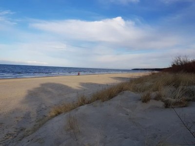 Holiday house Blockhaus in Trassenheide - Environment photo 27