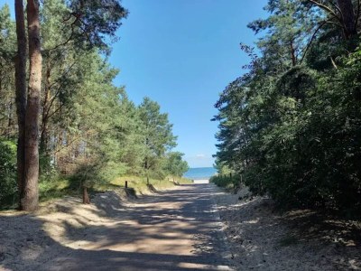 Holiday house Blockhaus in Trassenheide - Environment photo 30