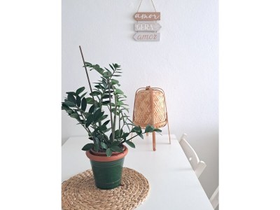 Holiday apartment Sweet nest at the end of Europe - Casinha Vale - Features photo 12