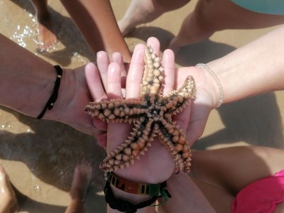 Holiday apartment Sweet nest at the end of Europe - Casinha Vale - Environment photo 34