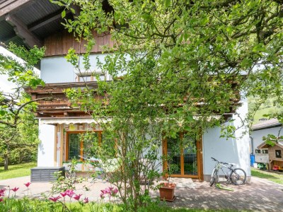 Apartment Apartment in Piesendorf near Ski Slopes - Outdoor photo 6