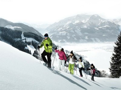 Apartment Apartment in Piesendorf near Ski Slopes - Environment photo 29