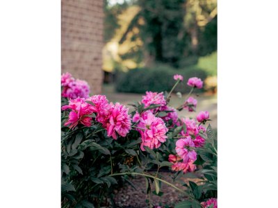 Holiday apartment Herrenhaus Burg Vlatten - Zum Hof - Outdoor photo 5