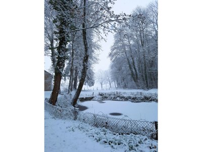 Holiday apartment Herrenhaus Burg Vlatten - Zum Hof - Outdoor photo 10