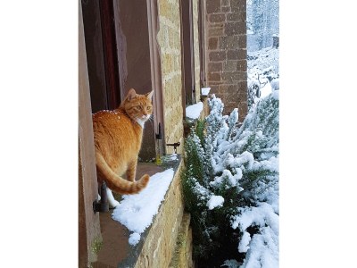 Holiday apartment Herrenhaus Burg Vlatten - Zum Hof - Outdoor photo 11