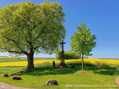 Holiday apartment Herrenhaus Burg Vlatten - Zum Hof - Environment photo 33