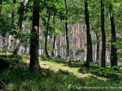 Holiday apartment Herrenhaus Burg Vlatten - Zum Hof - Environment photo 38