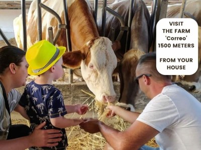 Holiday house Corte della Masseria - Outdoor photo 4