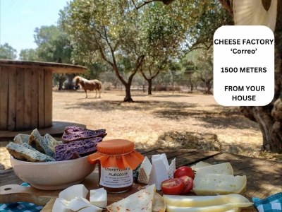 Holiday house Corte della Masseria - Outdoor photo 5