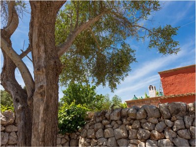 Holiday house Corte della Masseria - Outdoor photo 13