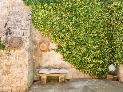 Holiday house Corte della Masseria - Outdoor photo 14