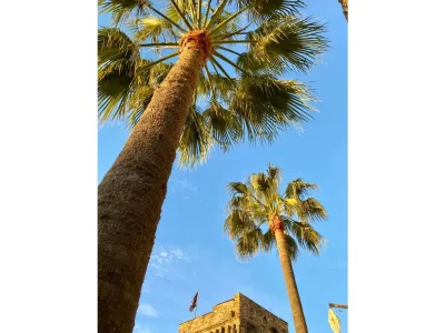 Holiday apartment Studio Palme - Outdoor photo 8