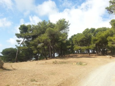 Holiday apartment Studio Palme - Environment photo 19