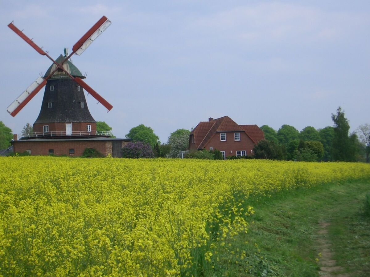 Apartment Familienapartment Neubukow - Outdoor photo 3