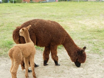 Apartment Familienapartment Neubukow - Outdoor photo 8