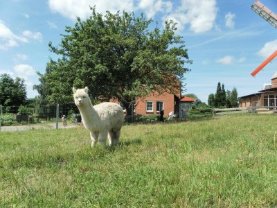 Apartment Familienapartment Neubukow - Outdoor photo 11