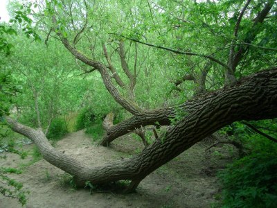 Apartment Familienapartment Neubukow - Environment photo 30