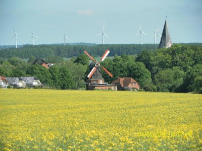 Apartment Familienapartment Neubukow - Environment photo 32