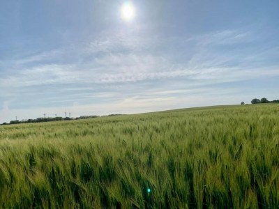 Apartment Familienapartment Neubukow - Environment photo 38