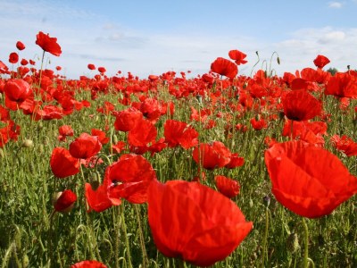 Apartment Familienapartment Neubukow - Outdoor photo 40