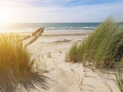 Holiday park Villa in Cadzand-Bad near North Sea Beach - Environment photo 22