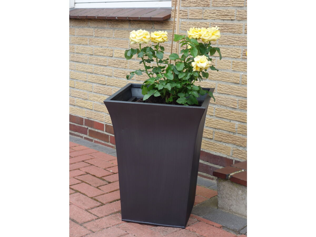 Holiday house House Summer Rest Borkum - Outdoor photo 4