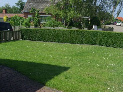 Holiday house House Summer Rest Borkum - Outdoor photo 3