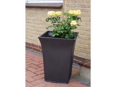 Holiday house House Summer Rest Borkum - Outdoor photo 4