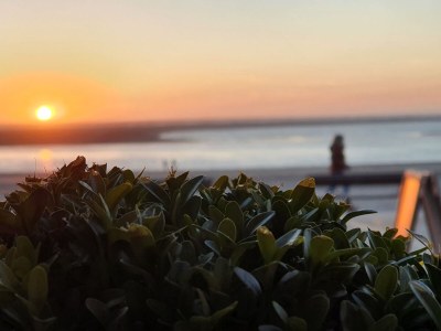 Holiday house House Summer Rest Borkum - Environment photo 14