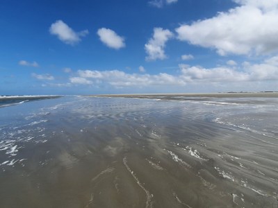 Holiday house House Summer Rest Borkum - Environment photo 15