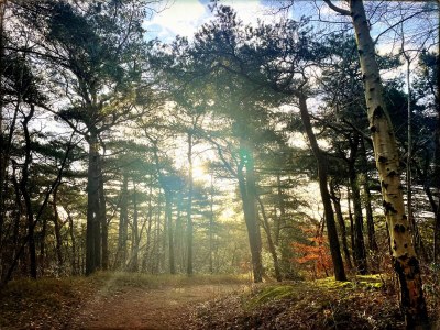 Holiday house Lovely cottage Bergen - Environment photo 31